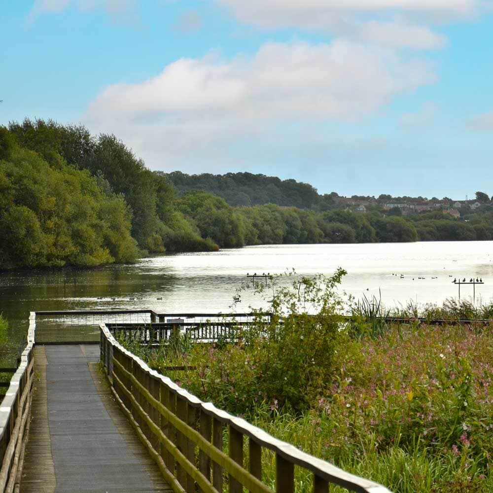 Fairburn Ings in Castleford, West Yorkshire
