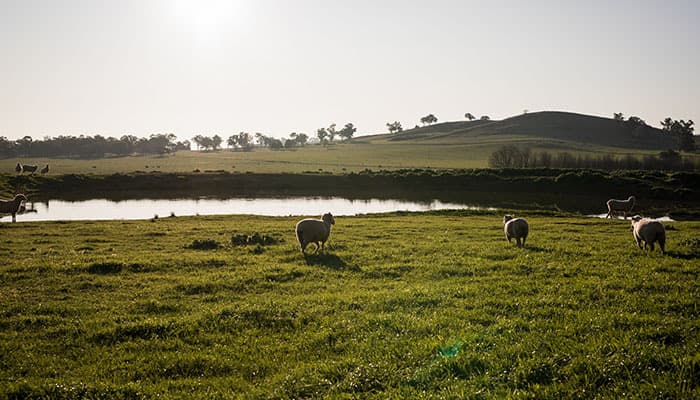 Farm Land