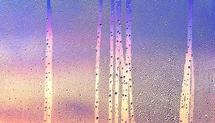 condensation on a window