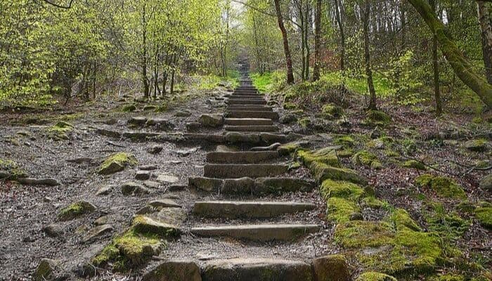 Otley Chevin Forest Park